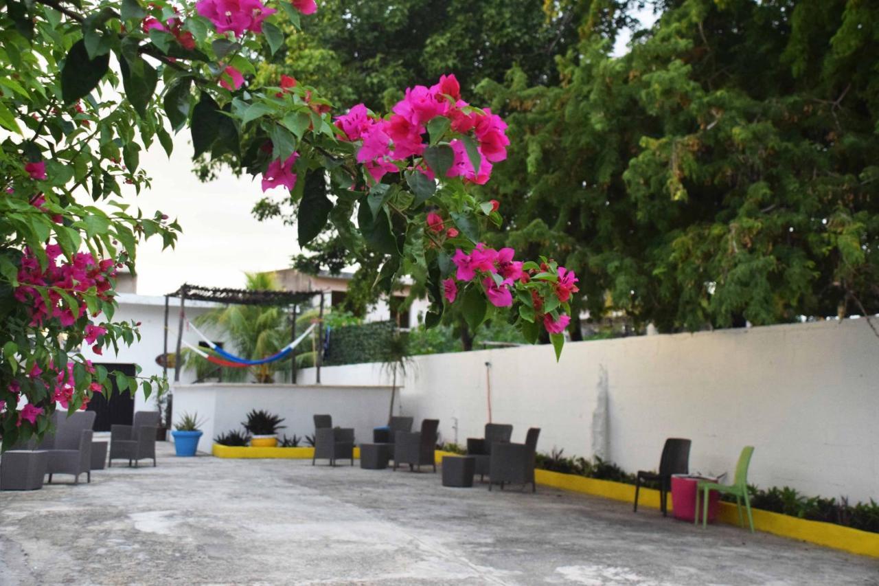 Hostal Casa Bohemia Mérida Buitenkant foto